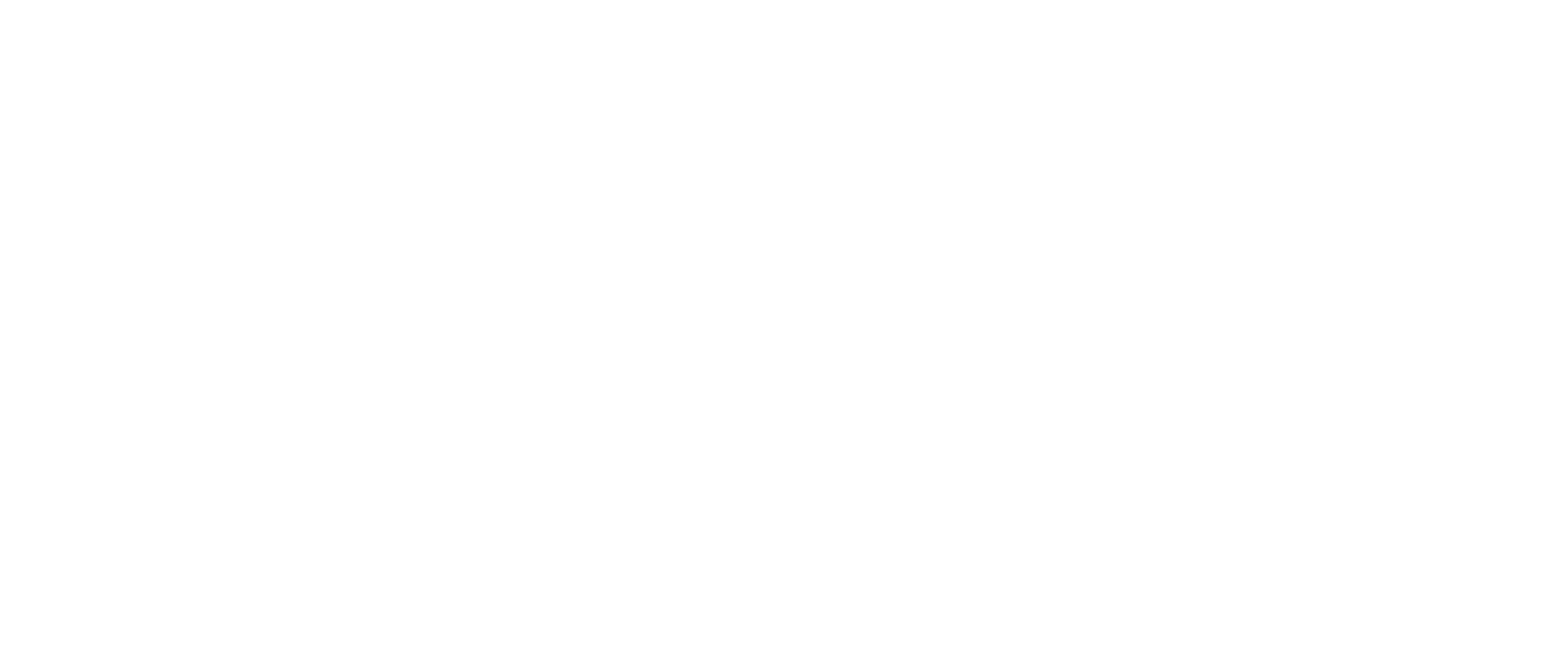 Monocle Inspections